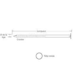 SPIT Paslode Pointes Inox A4 SPIT Rouleau Cloueur Pneumatique Ø2,5x55mm 1950 Pcs -NORTH WAYS Boutique autrevisuel 818028
