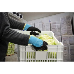 Gant De Protection Anti-froid Jusqu'à -10°C - Tempice 700 - Taille 9 Mapa 34700439 -NORTH WAYS Boutique tempice 700 packshot1 2 1